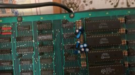 EFADF432-F833-433A-A722-BDD27D89C692.jpeg EFADF432-F833-433A-A722-BDD27D89C692.jpeg