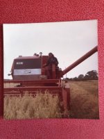 IMG_7795.jpeg