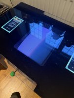 IMG_7831.jpeg