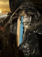 IMG_3252.jpeg