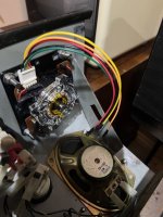 IMG_3320.jpeg