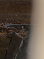 IMG_5004.jpeg