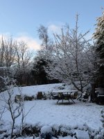 WinterWoonderland.jpeg WinterWoonderland.jpeg