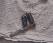 IMG_20260219_111700.jpg IMG_20260219_111700.jpg