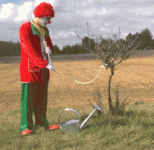 giphy (1).gif