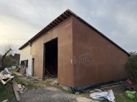 IMG_0449 Large.jpeg
