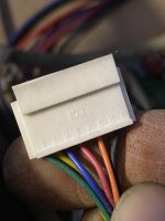 IMG_6379.jpeg