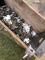 IMG_8380.jpeg