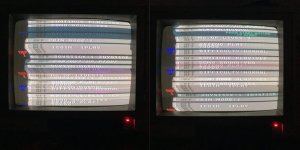 fl1.1.jpg