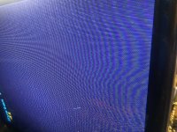 IMG_7595.jpeg