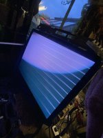 IMG_7616.jpeg