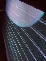 IMG_7619.jpeg