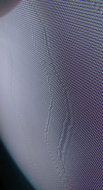 IMG_7637.jpeg