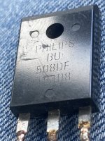 IMG_7904.jpeg