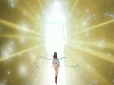 1000035299.gif 1000035299.gif