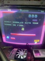 IMG_7981.jpeg