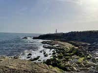 IMG_5483.jpeg