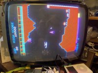 IMG_8118.jpeg