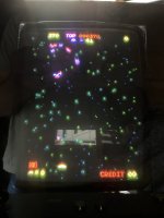 IMG_6916.jpeg