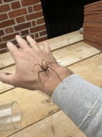 IMG_9043.jpeg