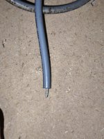 IMG_20260821_192203.b.jpg