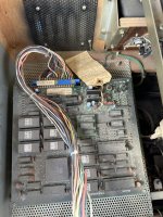 IMG_9619.jpeg