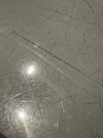 IMG_9841.jpeg