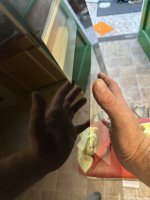 IMG_9915.jpeg