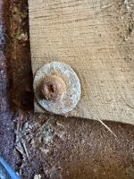 IMG_6559.jpeg