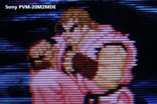 SFZ3-pvm2.jpg