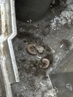 IMG_0290.jpeg
