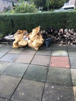 IMG_9632.jpeg