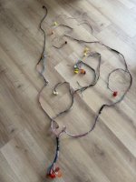 IMG_6954.jpeg