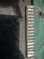 IMG_4520.jpeg