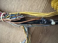 IMG_7134.jpeg
