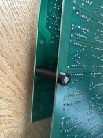 IMG_4550.jpeg