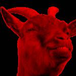 Friedgoat