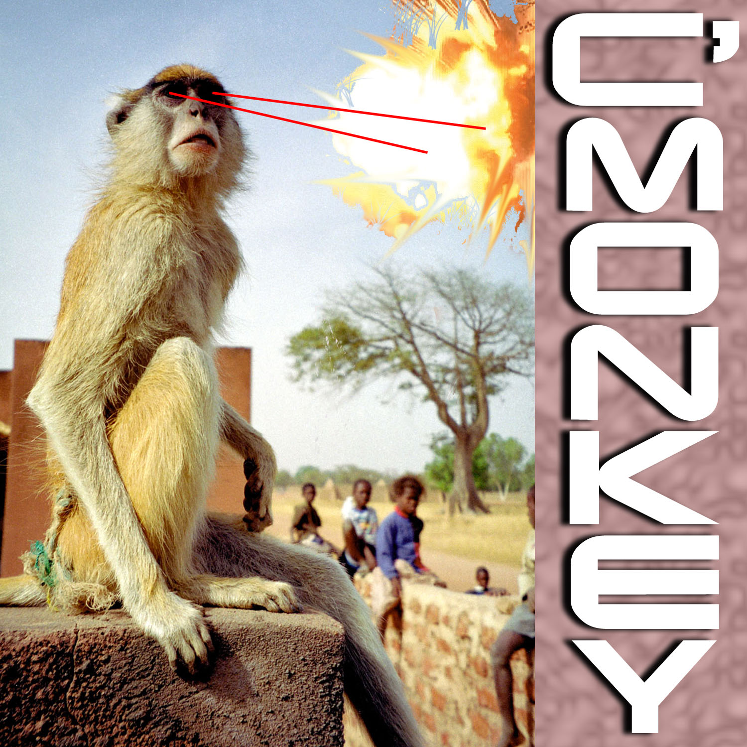 cmonkey.jpg