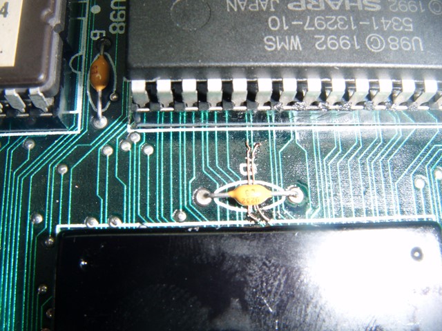 DSCF9081.JPG