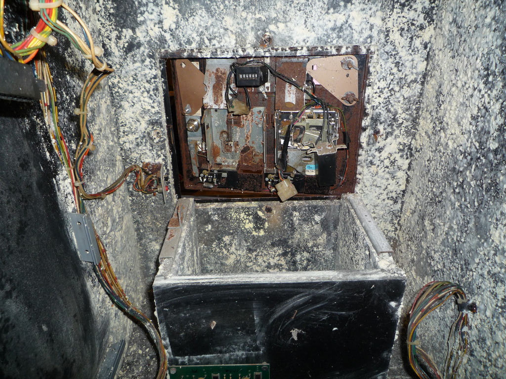 p006.jpg