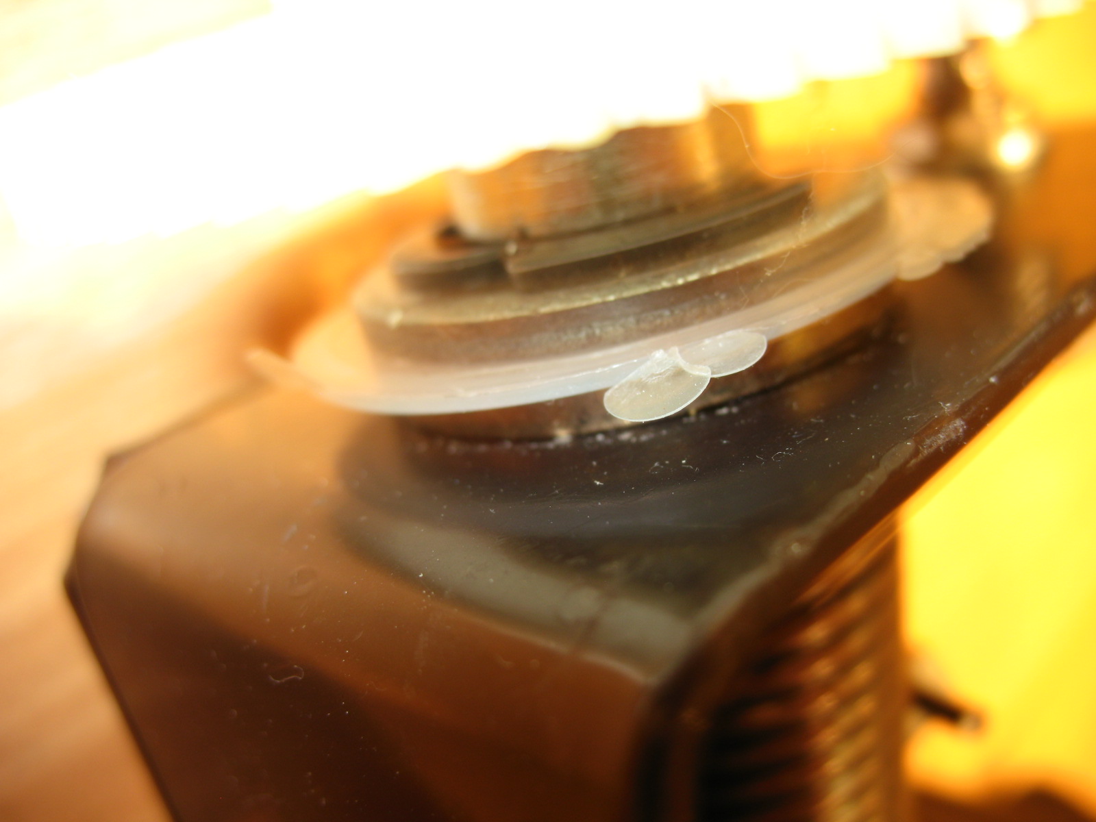 Washer_2.JPG