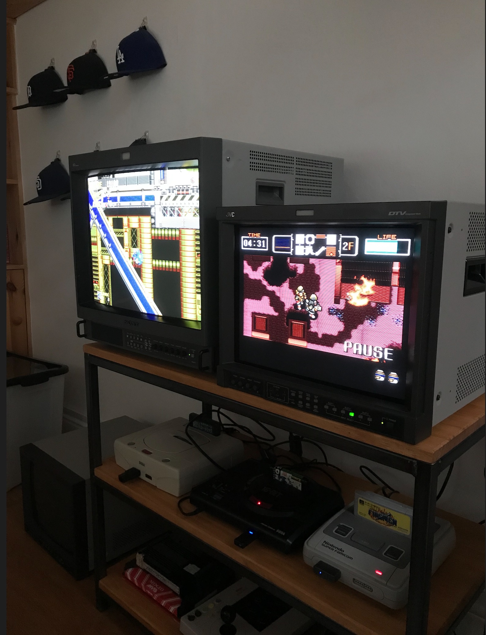 PVMs.jpg