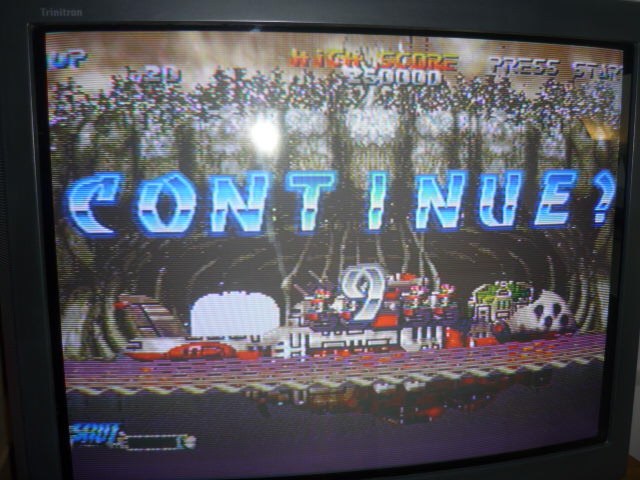 Blazing_Star_GOW_4.JPG