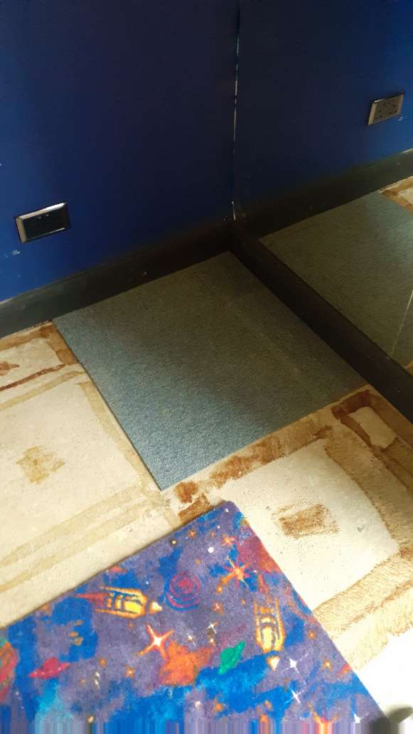Carpet029.jpg