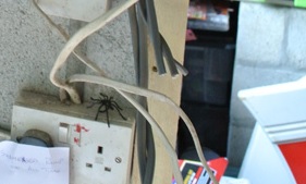 Spider.jpg