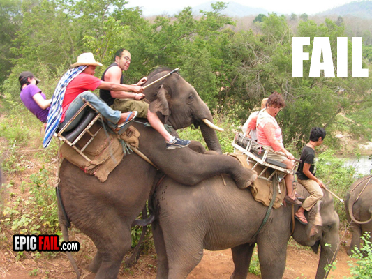safari-fail-elephant-sex.jpg