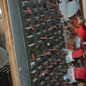 DSC_0239.JPG