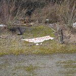 DSC_0483.JPG
