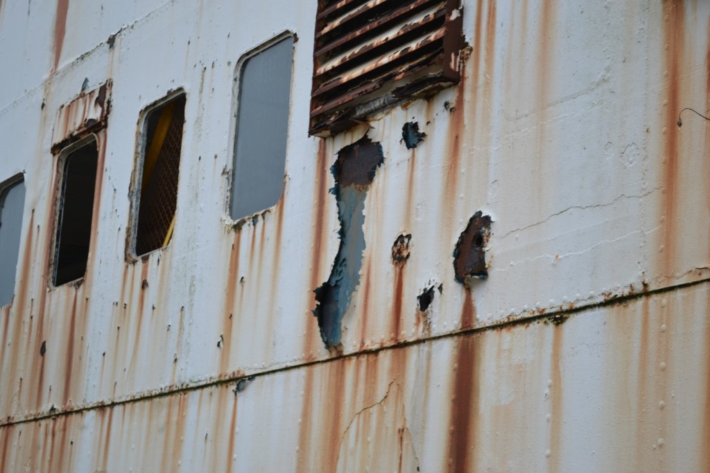 DSC_0230.JPG